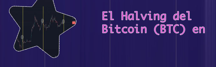 Btc halving countdown