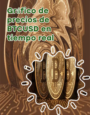 El precio del bitcoin en dólares