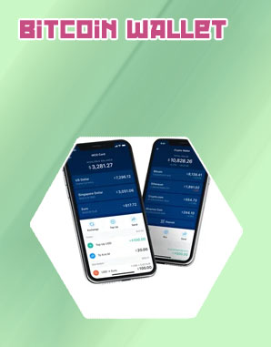 Wallet crypto