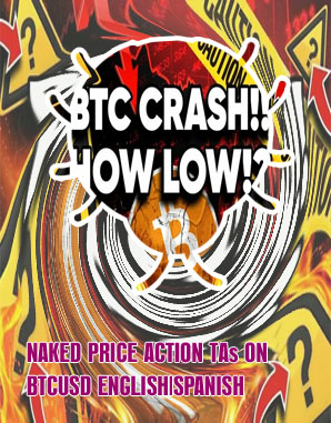 Will btc go up again